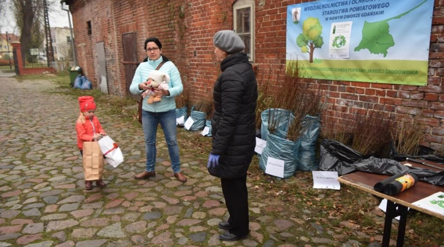 akcja-drzewko-za-butelkę-23