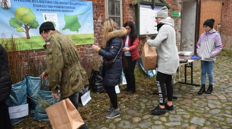 akcja-drzewko-za-butelkę-37