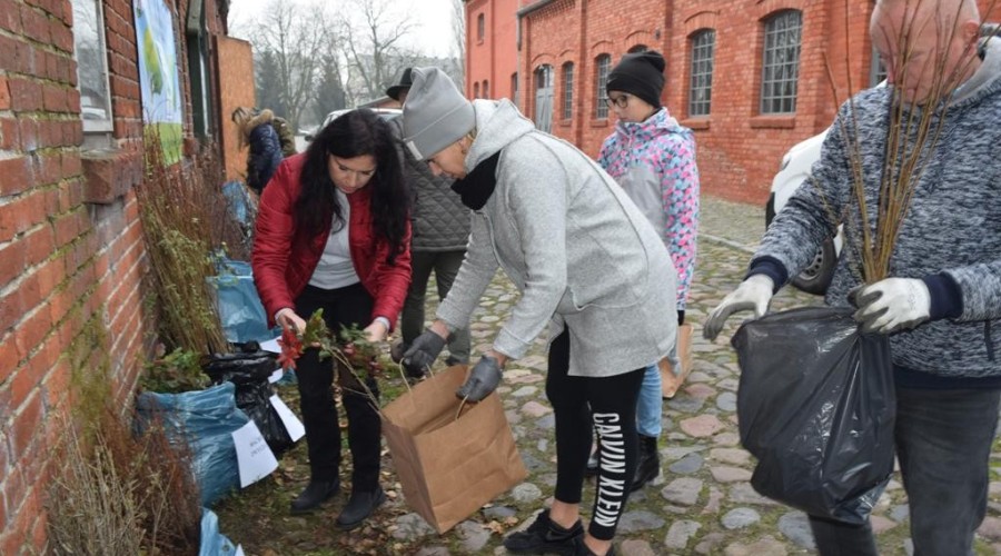 akcja-drzewko-za-butelkę-44