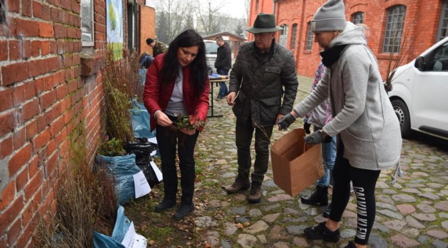 akcja-drzewko-za-butelkę-45