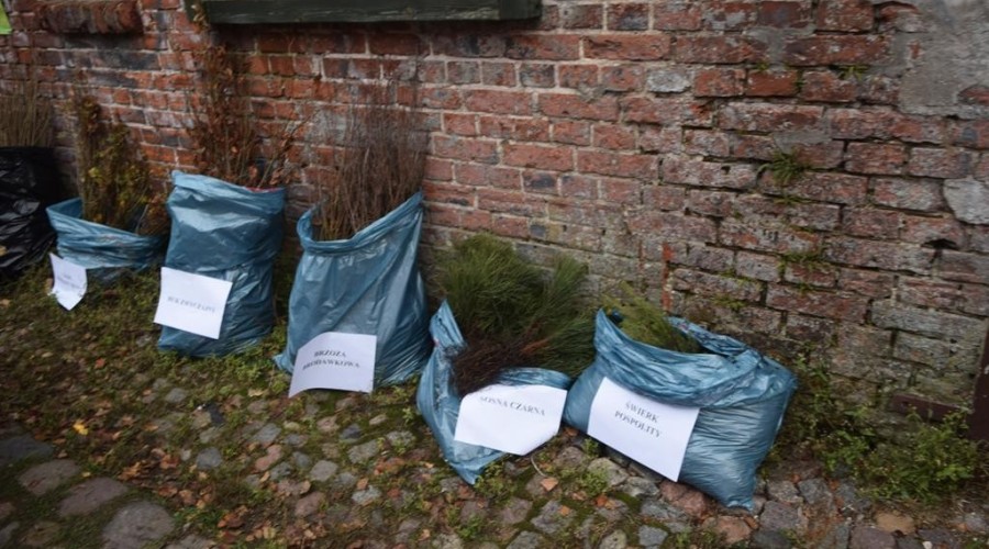 akcja-drzewko-za-butelkę-55