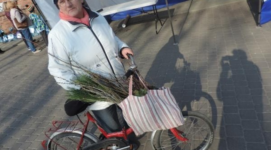 drzewko za butelkę (11)