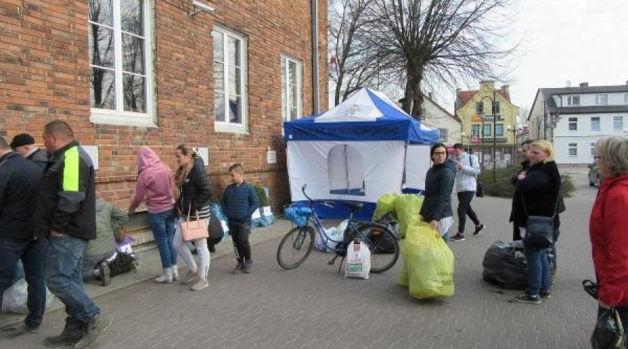 drzewko za butelkę (12)
