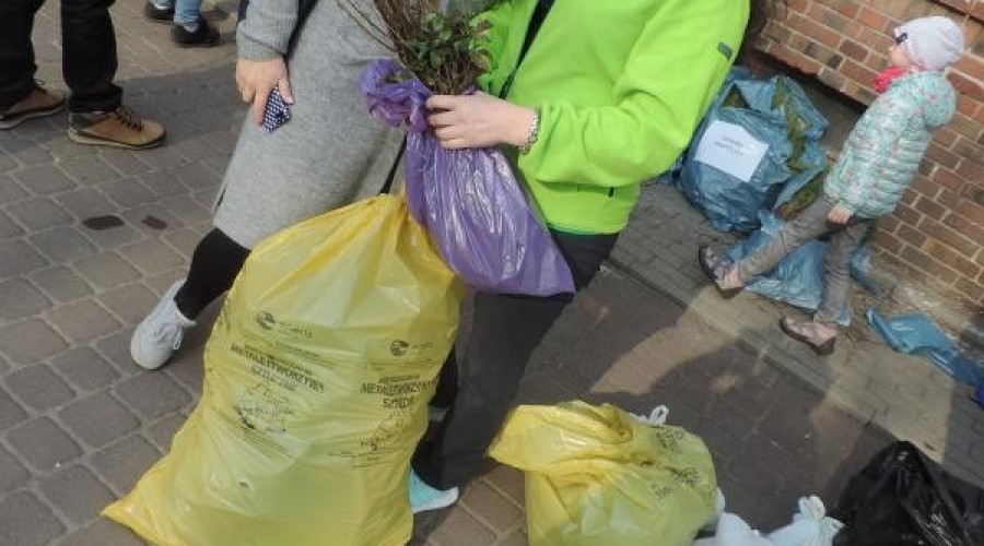 drzewko za butelkę (2)