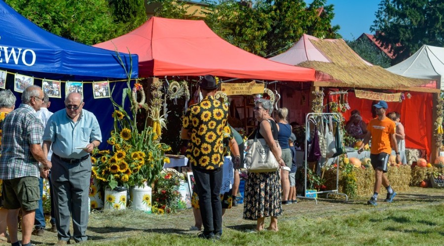 dozynki gminy owy wór gd Marzęcino 2024 (35)