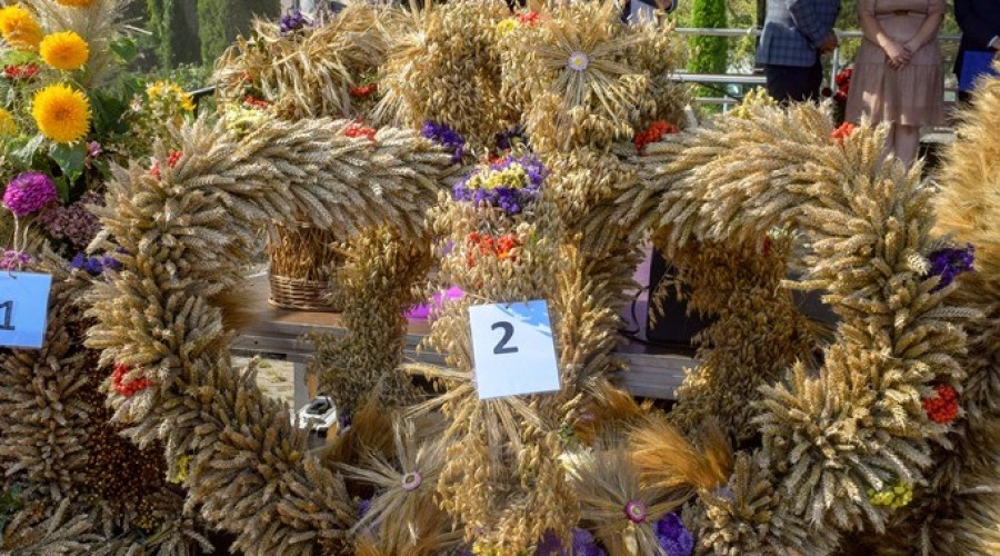 dozynki gminy owy wór gd Marzęcino 2024 (41)