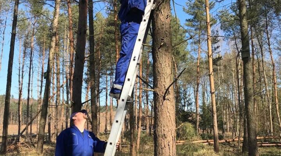 przekop budki legowe (1)