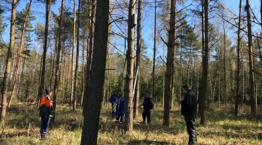 przekop budki legowe (4)