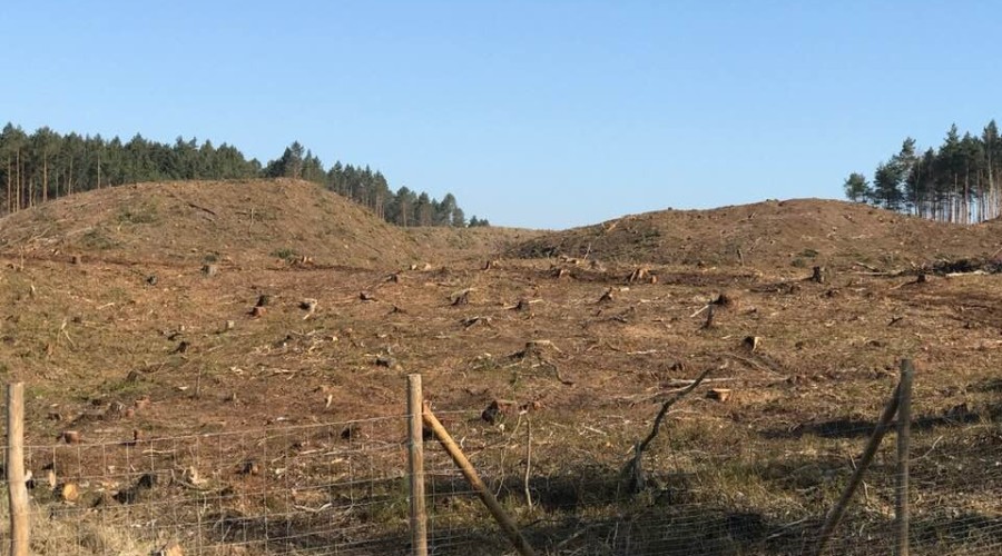 przekop budki legowe (5)