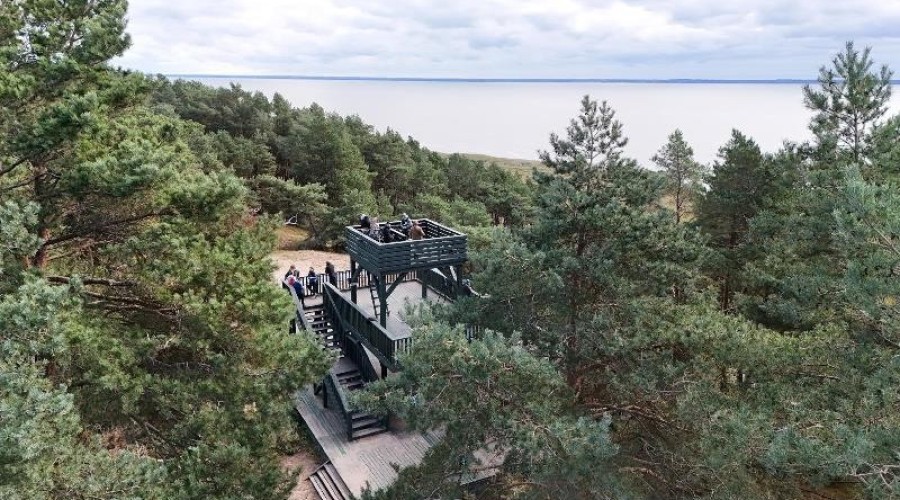 ptasi piknik2