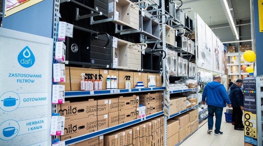 mrówka nowy dwór gdanski10