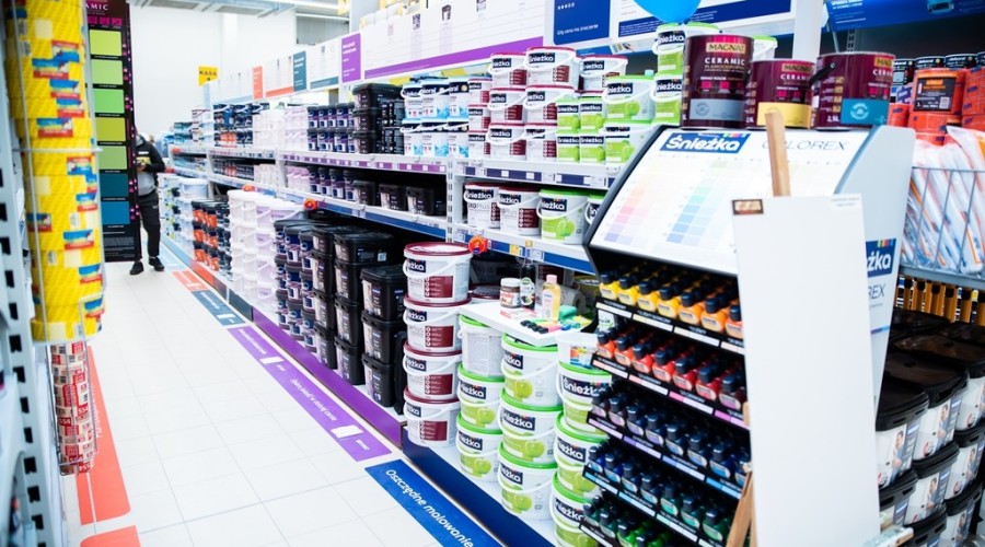 mrówka nowy dwór gdanski12