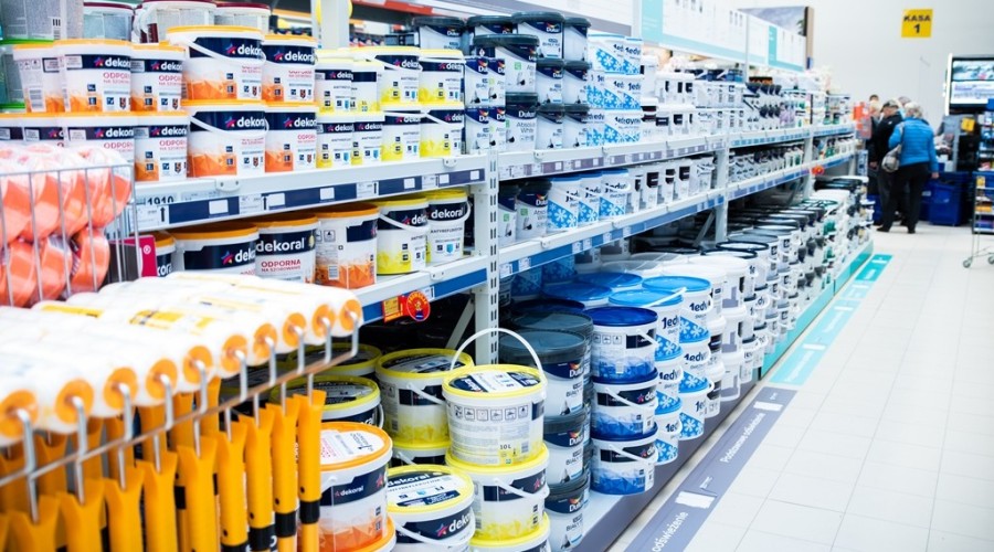 mrówka nowy dwór gdanski13