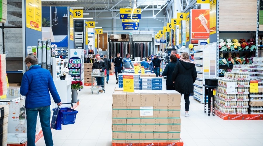 mrówka nowy dwór gdanski16