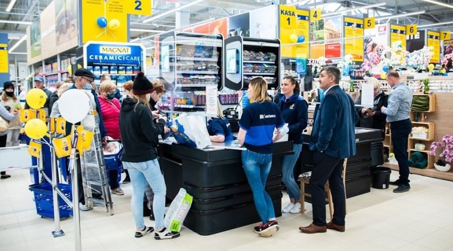 mrówka nowy dwór gdanski17