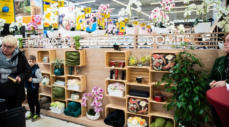 mrówka nowy dwór gdanski18