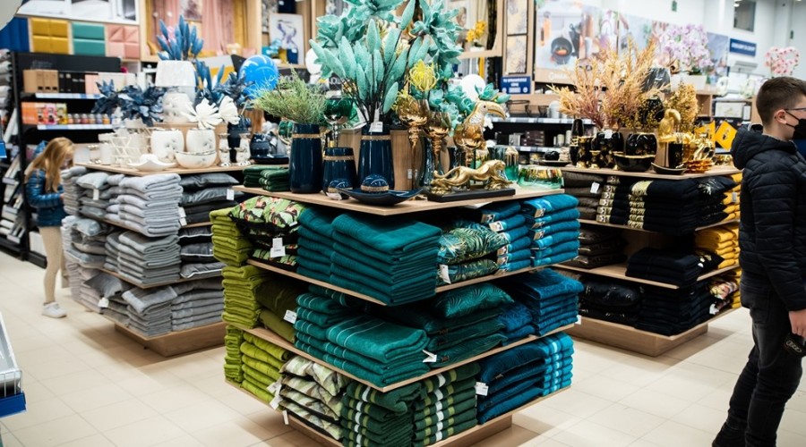 mrówka nowy dwór gdanski21