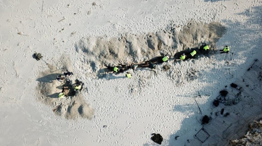 56553681_662709424150680_2334871885713506304_n