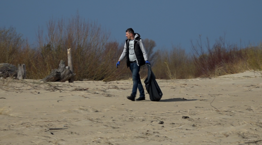 sprzatanie mewiej łachy (14)