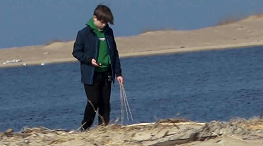 sprzatanie mewiej łachy (17)