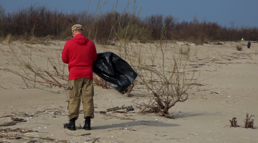 sprzatanie mewiej łachy (2)