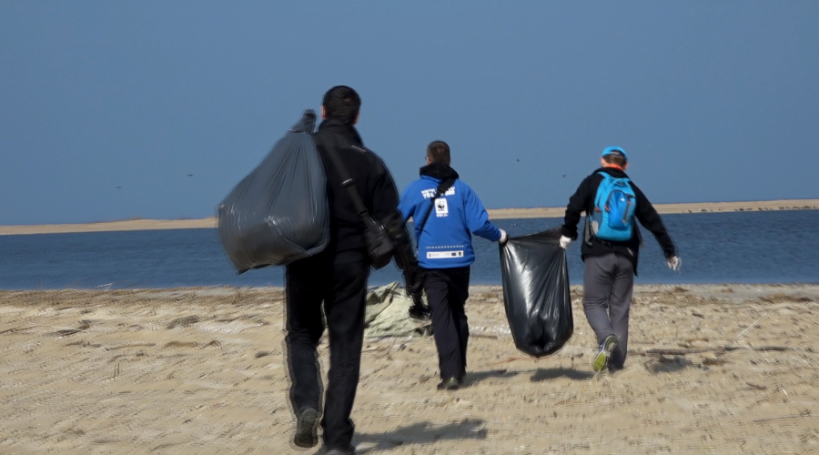 sprzatanie mewiej łachy (21)