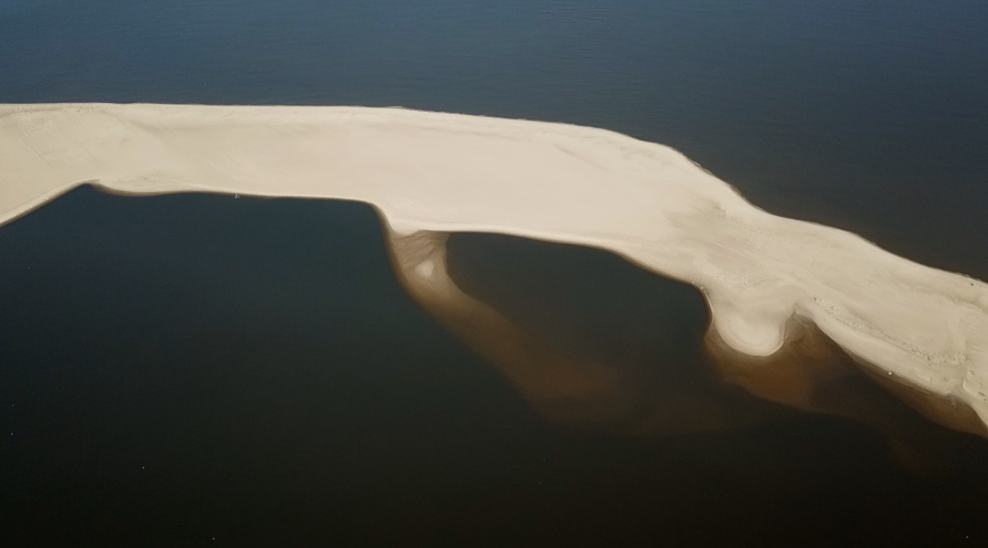 sprzatanie mewiej łachy (6)