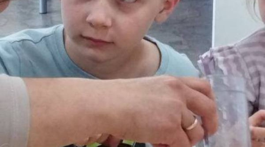 europejski dzien solidarnosci stegna (11)