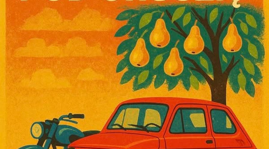 zlot klasycznych pojazdów stegna (2)