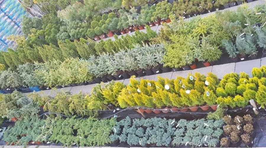 59079079_1034077973451204_2021521431258464256_n