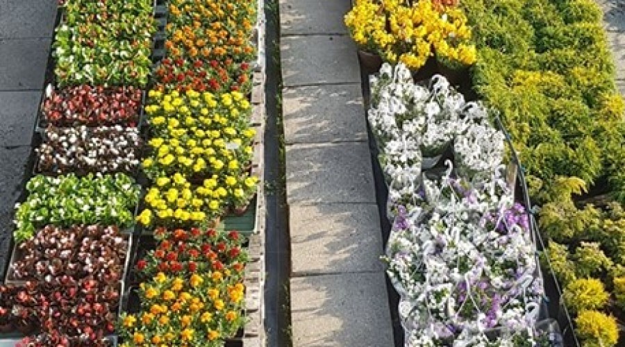 59461970_1035436833315318_6581225988783341568_n