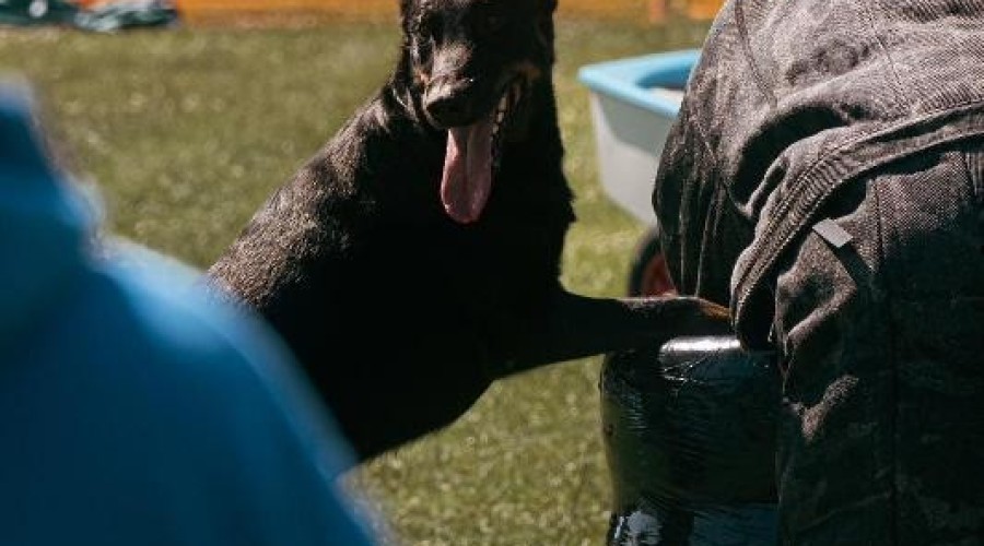 zawody monidioring sztutowo (2)