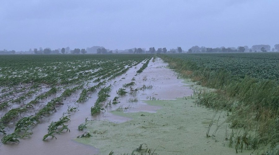 514255006_10227230891662881_3739250392699588062_n