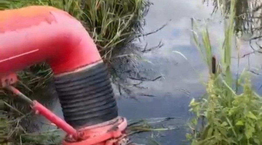 516391921_10227230844701707_4237465652286265049_n