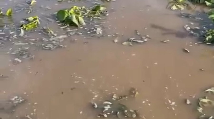 527737505_10227230908503302_8387073629063811221_n (1)