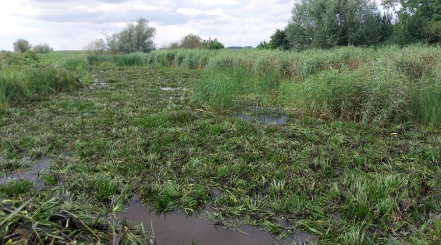 zuławy pod wodą (12)