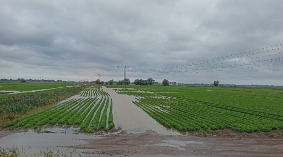 zuławy pod wodą (19)