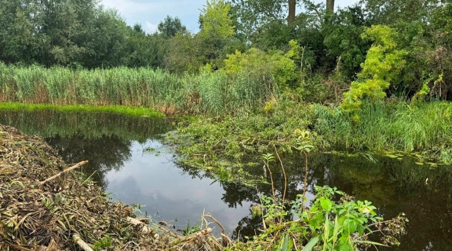 zuławy pod wodą (2)