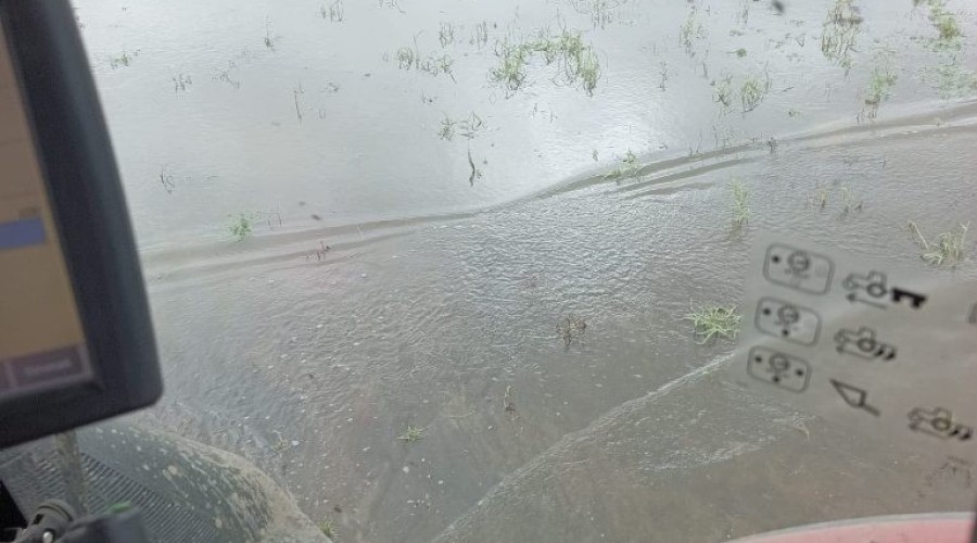 zuławy pod wodą (27)