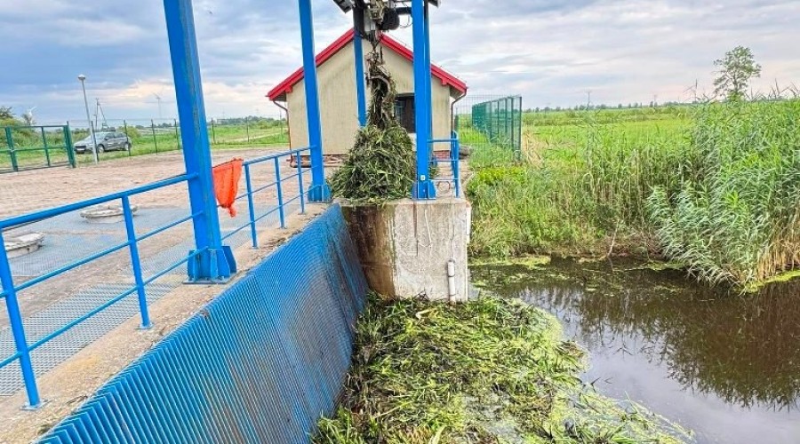 zuławy pod wodą (7)