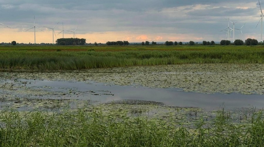 zuławy pod wodą (8)