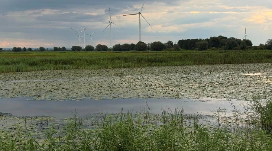 zuławy pod wodą (9)