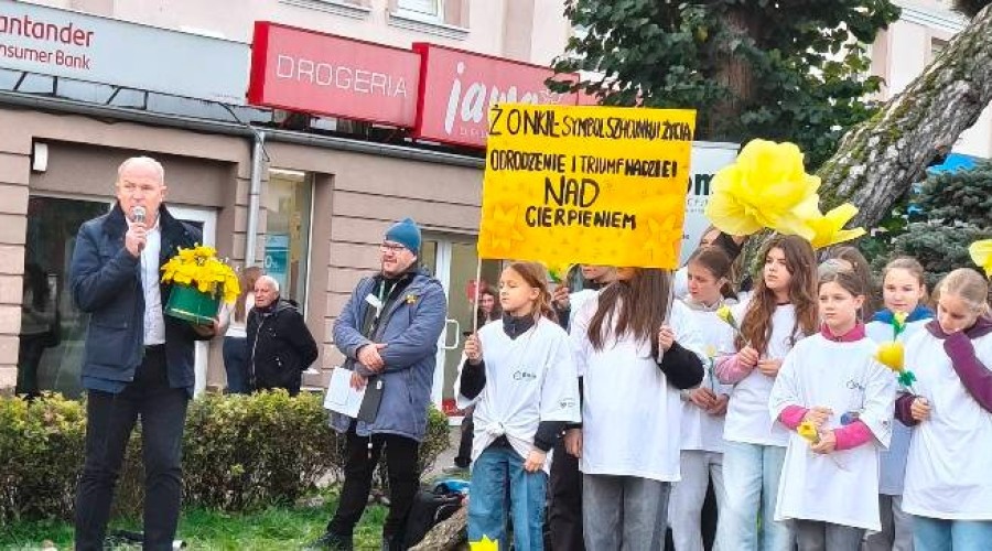 pola nadziei nowy dwor gd (1)