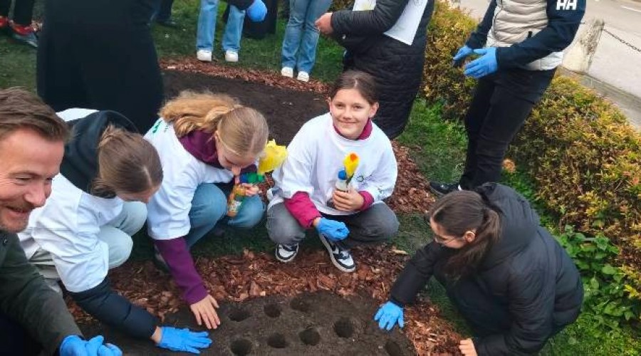 pola nadziei nowy dwor gd (20)