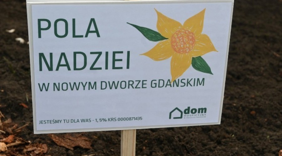pola nadziei nowy dwor gd (3)