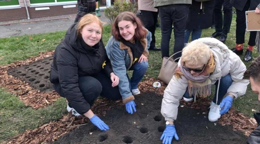 pola nadziei nowy dwor gd (7)