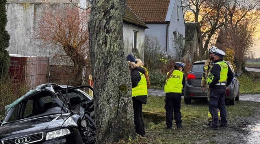 596809599_10228660652966020_1737337731532236033_n