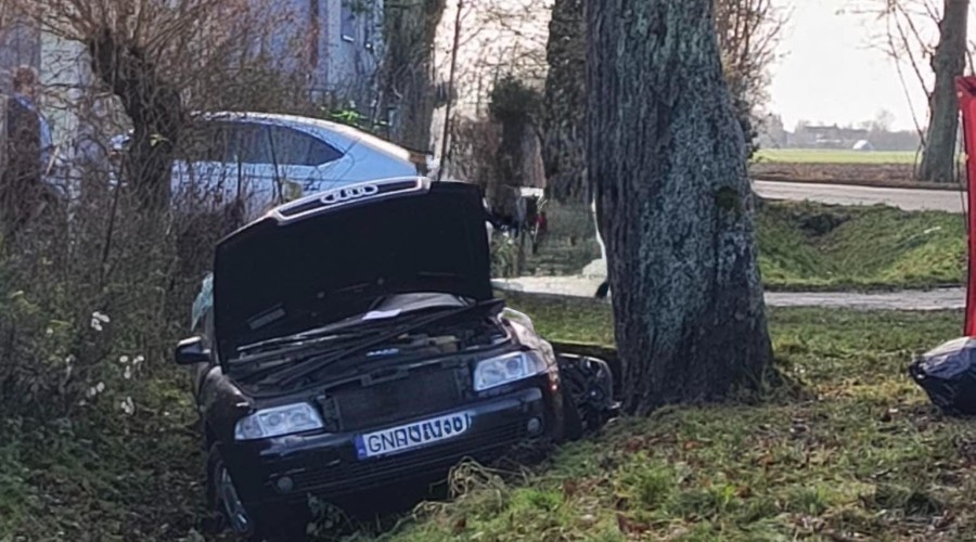 597229790_1438155758309578_6157413132064243500_n