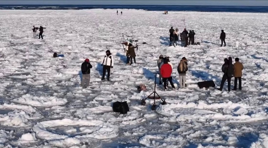 roxie wegiel mikoszewo (15)