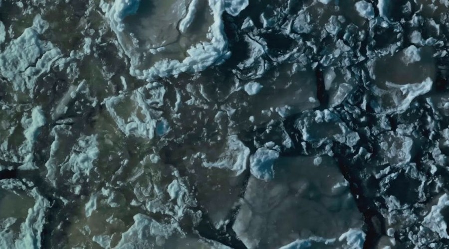 roxie wegiel mikoszewo (5)